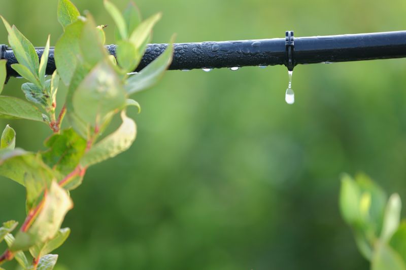 Drip Irrigation Repair