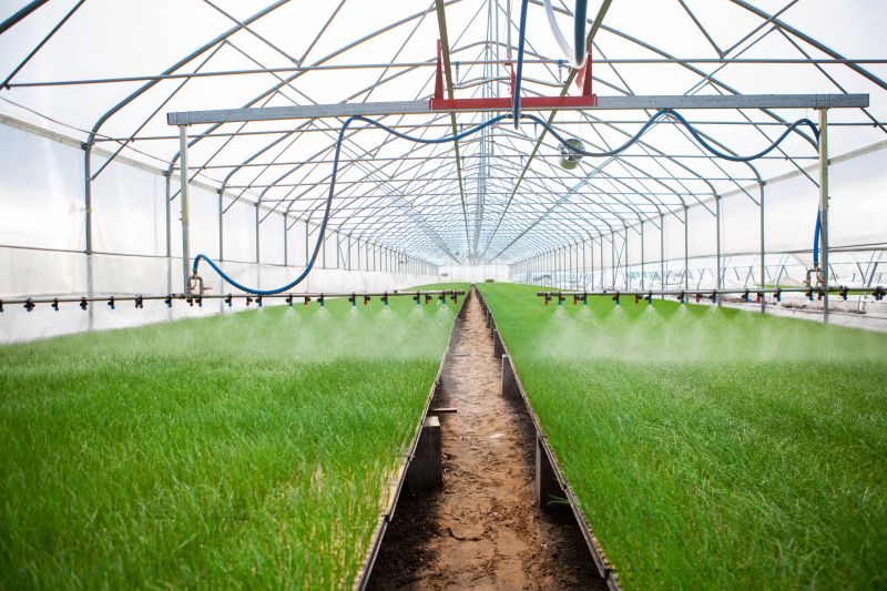 Drip System Installation in Ventura County, CA