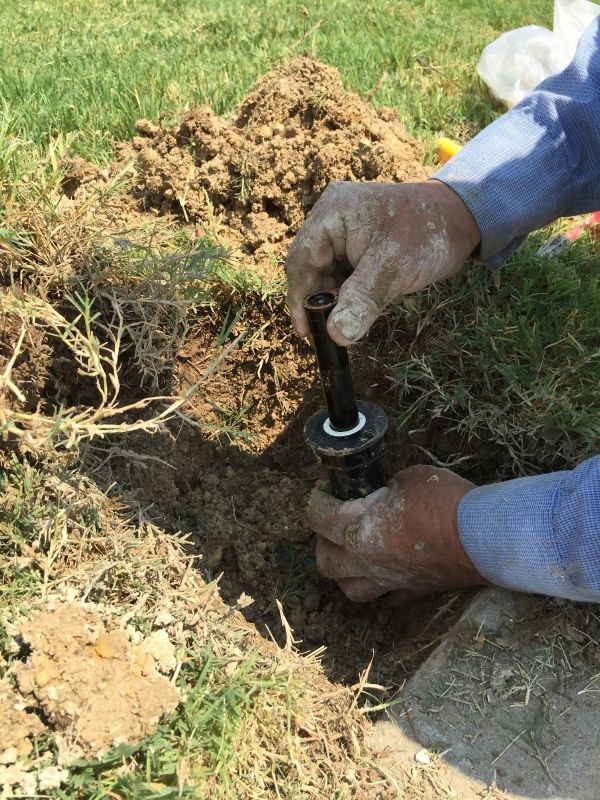 Grass Sprinkler Repair in Honolulu, HI