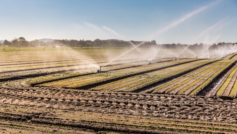 Mist Irrigation Installation in Aiken, SC