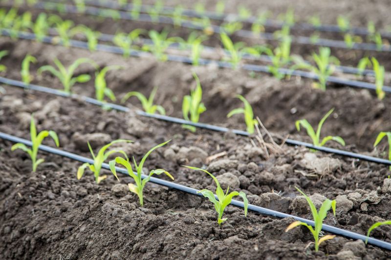 Plant Irrigation Installation in Ventura County, CA