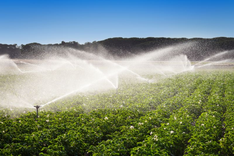 Watering System Installation in Ventura County, CA