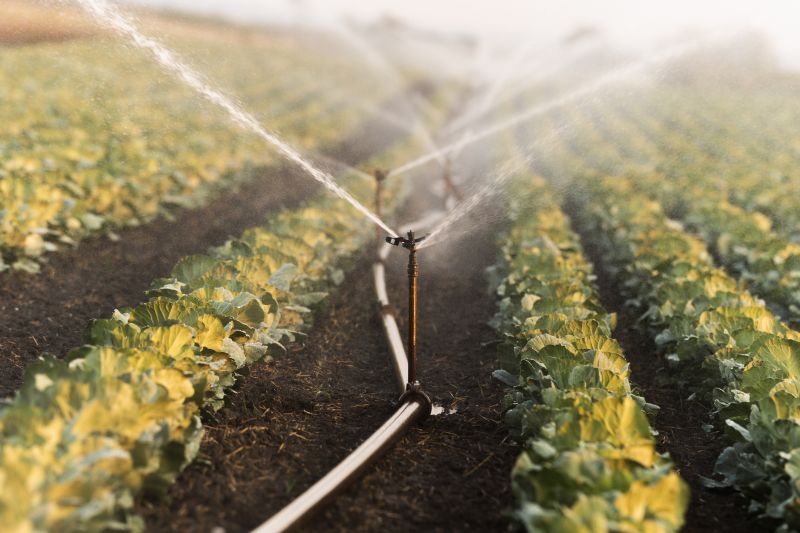 Yard Irrigation Installation in Aiken, SC