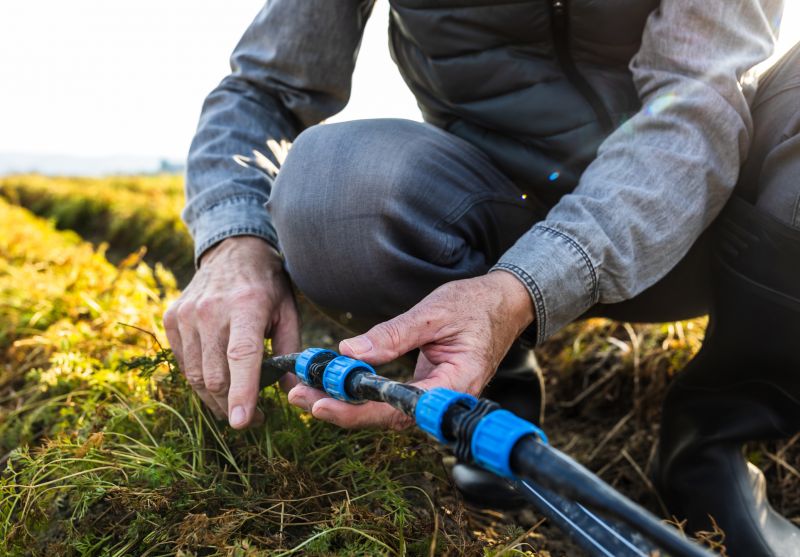 Contact About Drip Irrigation Repair